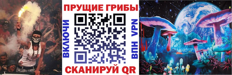 Псилоцибиновые грибы Cubensis  Саянск 